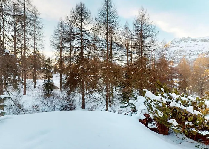 Abitaziun Schinellas - Silvaplana *